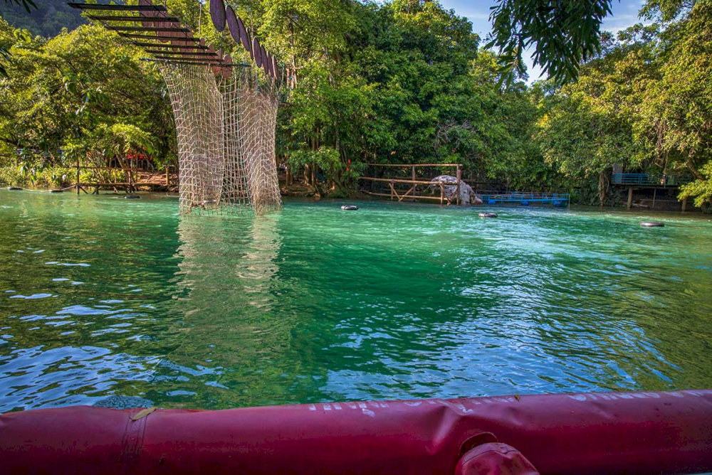 Floating in the spring’s crystal-clear water reveals a new perspective on the forest